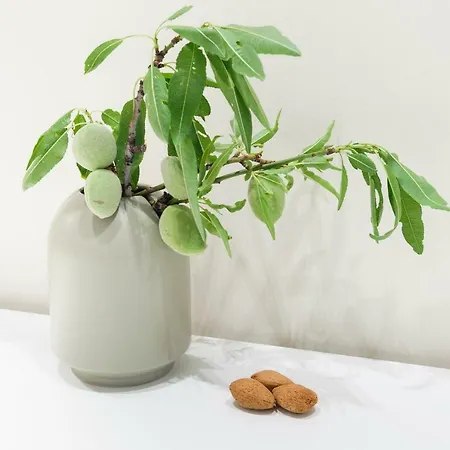 Pensión Mak Luxury Split